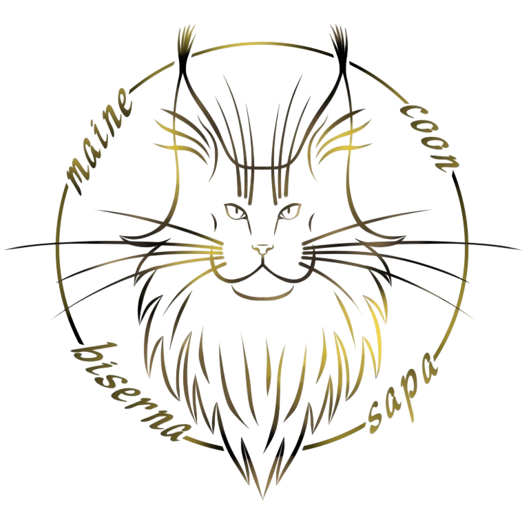 Maine Coon Croatia logo